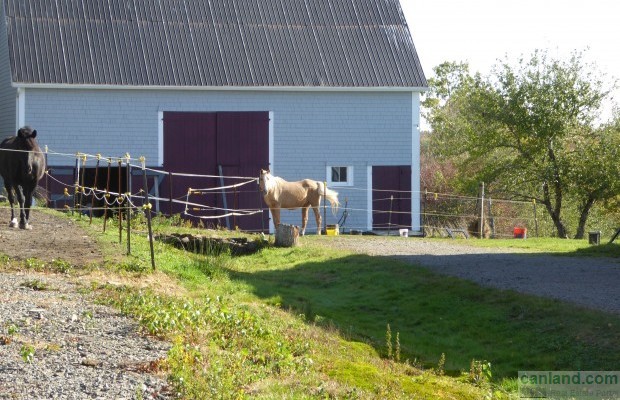Foto Nr.7 Bauernhof / Landwirtschaft Kauf in Canada, Nova Scotia, Nova Scotia